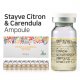 STAYVE Citron and Calendula αμπούλες